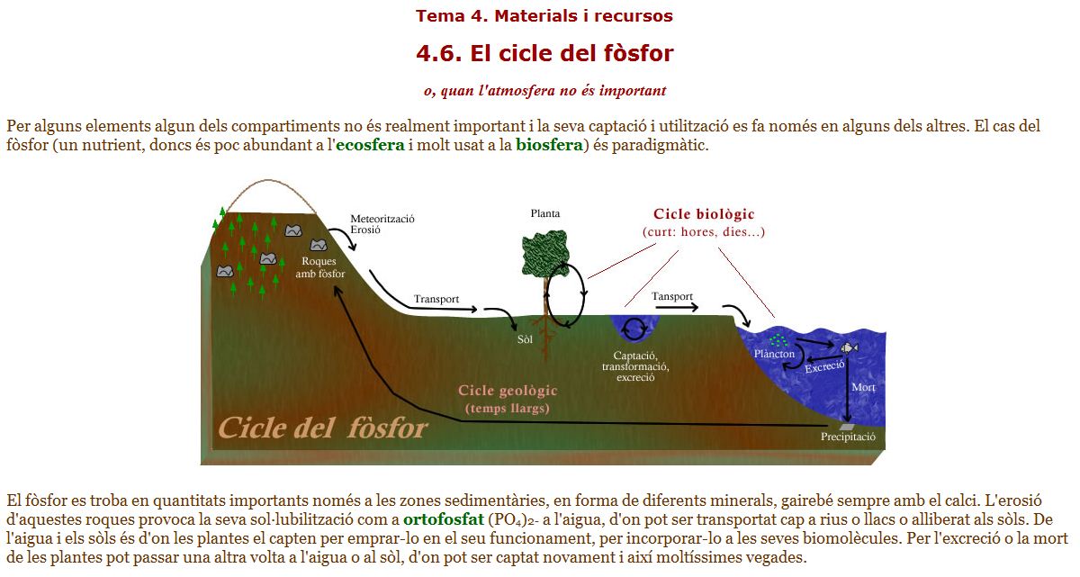 El cicle del fòsfor | Recurso educativo 34035