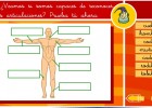 Las articulaciones del cuerpo humano | Recurso educativo 35585