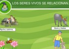 Los seres vivos se relacionan | Recurso educativo 35635