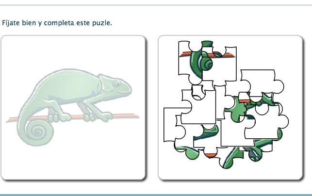 El puzzle del camaleón | Recurso educativo 36102