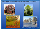 En otoño | Recurso educativo 36583