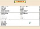 Verbo "amar" | Recurso educativo 36865