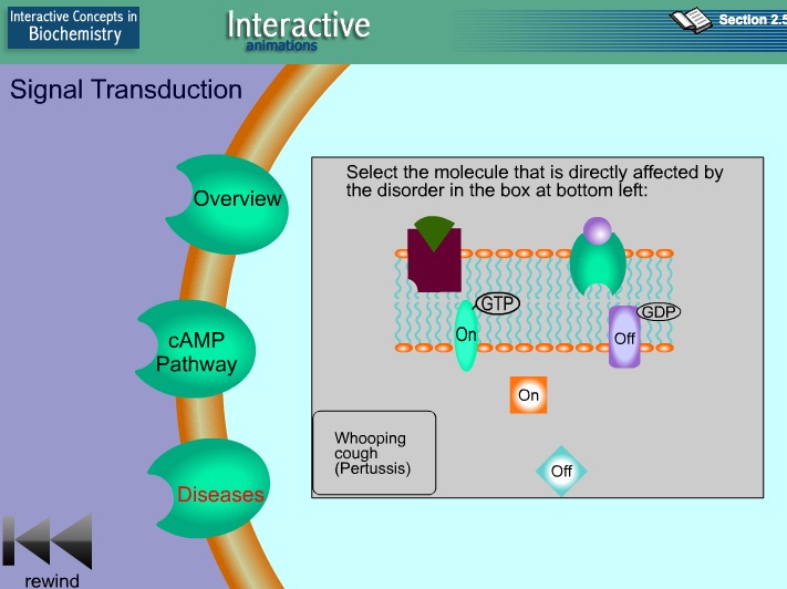 Video: Signal Transduction | Recurso educativo 39943