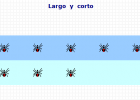 Largo  y  corto | Recurso educativo 43199