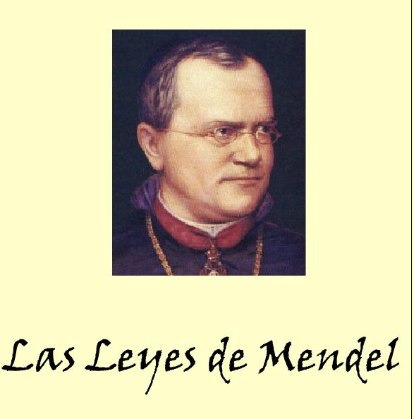 Leyes de Mendel | Recurso educativo 43694