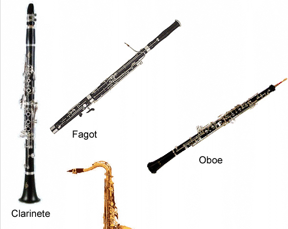 Fagot, clarinete, oboe y saxofón | Recurso educativo 46001