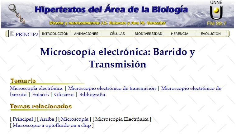 Microscopio electrónico | Recurso educativo 46306