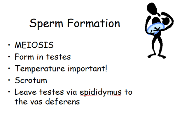 Human reproduction | Recurso educativo 49139