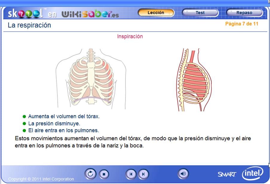 Respiración | Recurso educativo 49528