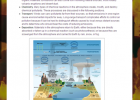 Ecology lab: Atmospheric pollution | Recurso educativo 50771