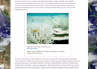 Ecology lab: Looking Forward | Recurso educativo 50777