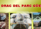 El drac del Parc Güell | Recurso educativo 54346