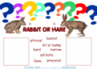 Rabbit or hare? | Recurso educativo 55678