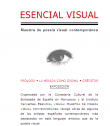 Esencia visual | Recurso educativo 59443