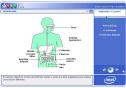 La digestión 1 | Recurso educativo 10968