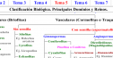 Clasificación d elas plantas | Recurso educativo 13873