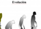 Evolución | Recurso educativo 13881