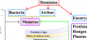 Clasificación de los invertebrados | Recurso educativo 13907