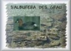 s'Albufera des Grau | Recurso educativo 20337