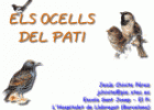 Els ocells del pati | Recurso educativo 21942