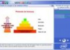 Pérdida de energía en la cadena trófica | Recurso educativo 2488