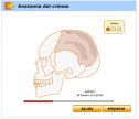 El Cráneo | Recurso educativo 28511