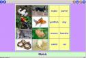 Our pets | Recurso educativo 3367