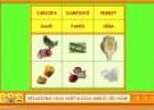 És vital consumir fruites i hortalisses | Recurso educativo 3862