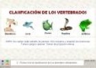 Animales vertebrados | Recurso educativo 4308