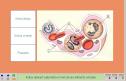 La nutrició II | Recurso educativo 4460