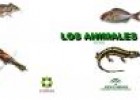 Los animales | Recurso educativo 8692