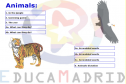 The animals activities | Recurso educativo 8940