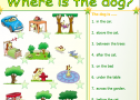 Where is the dog? | Recurso educativo 62322