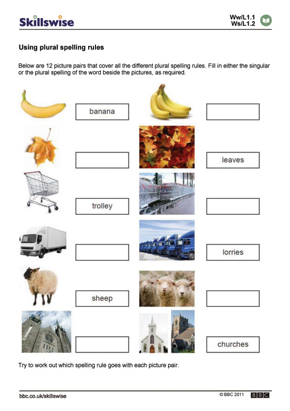 Using plural spelling rules | Recurso educativo 64258