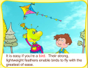 Story: Birds fly | Recurso educativo 65799