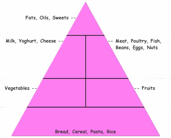 Build a food pyramid | Recurso educativo 67323