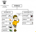 I love animals | Recurso educativo 67371