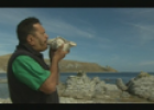 Whale watching and indigenous people of Kaikoura | Recurso educativo 70075