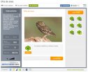 Adivinanza sobre aves | Recurso educativo 73023