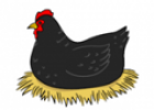 Hickety, Pickety, My Black Hen | Recurso educativo 78777