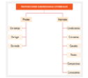 Proposiciones subordinadas adverbiales: de tiempo, de lugar y de modo | Recurso educativo 82192