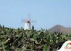 Agricultural landscapes: Teguise (Lanzarote, Spain) | Recurso educativo 85249