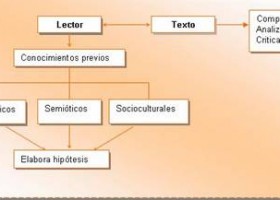 La lectura. Fases de la lectura | Recurso educativo 92669