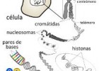 Mapas interactivos para ciencias sociales - Didactalia: material educativo | Recurso educativo 98499