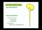 SISTEMA NERVIOSO 1 | Recurso educativo 105268