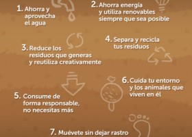 7 consejos para proteger el Medio Ambiente | Recurso educativo 108042