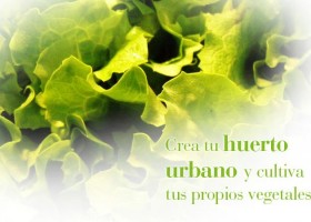 Curso de Crea tu Huerto Urbano | MasSaber | Recurso educativo 113994