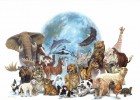 Mapa conceptual: Los animales | Recurso educativo 121036