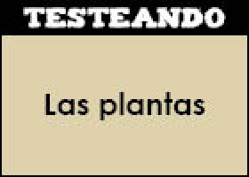 Las plantas | Recurso educativo 350646