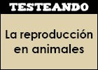 La reproducción en animales | Recurso educativo 351666